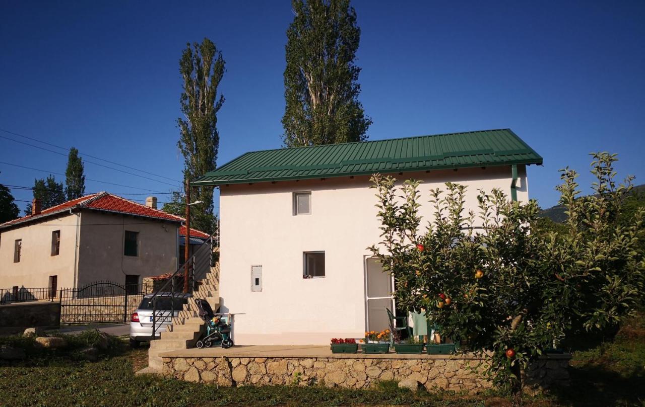 Villa Lila Dolno Dupeni Kültér fotó