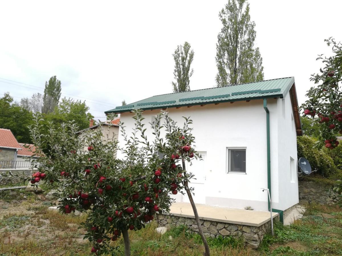 Villa Lila Dolno Dupeni Kültér fotó