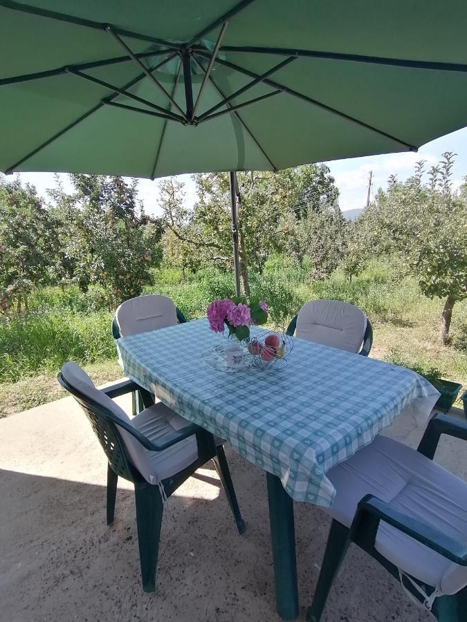 Villa Lila Dolno Dupeni Kültér fotó