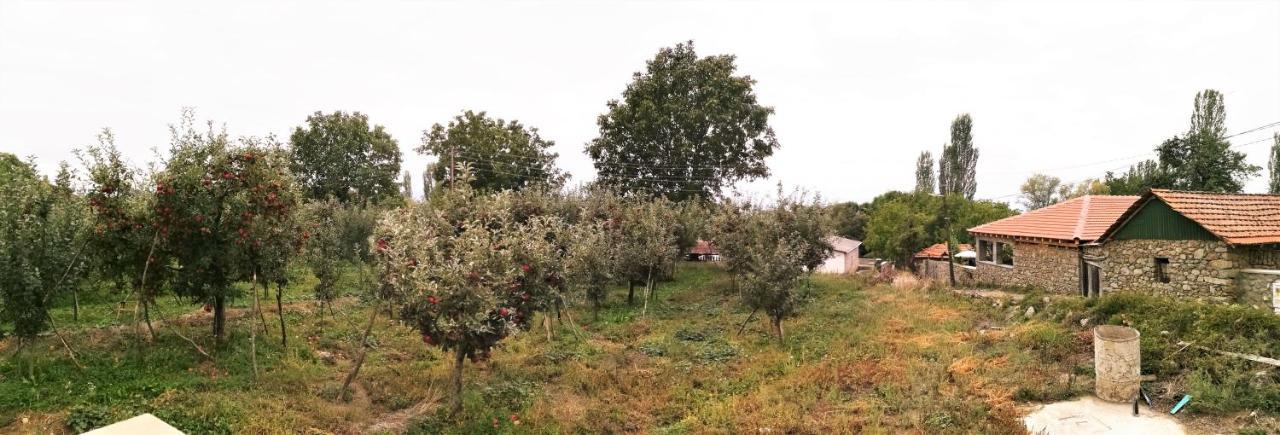 Villa Lila Dolno Dupeni Kültér fotó