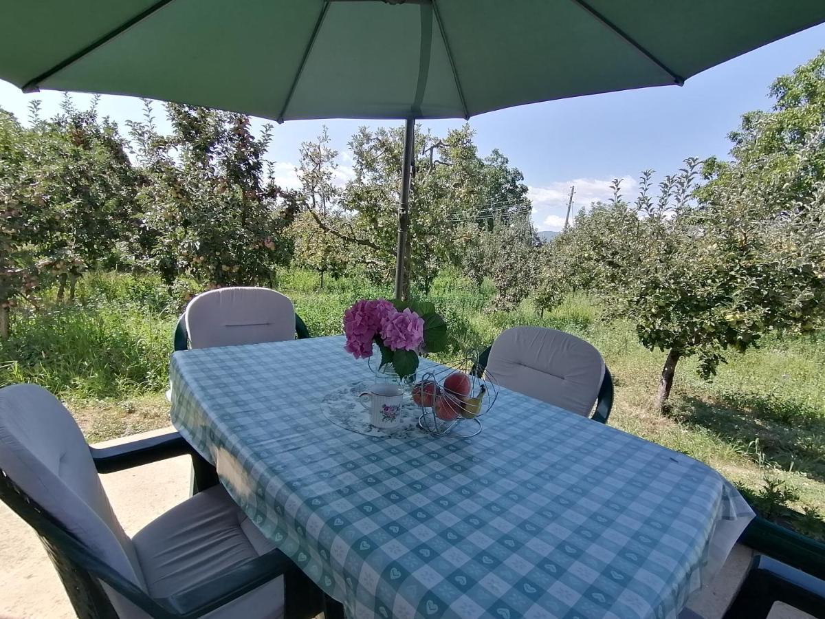 Villa Lila Dolno Dupeni Kültér fotó