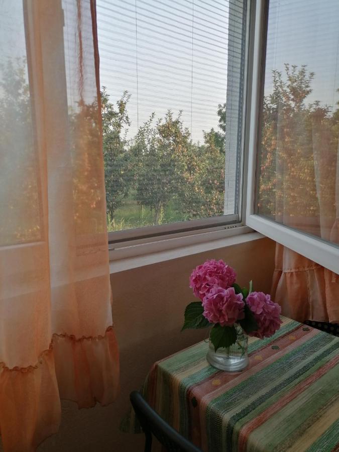 Villa Lila Dolno Dupeni Kültér fotó